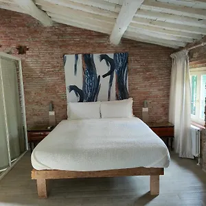 Inside The Lucca